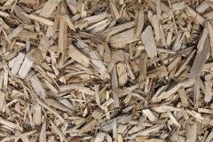 biomass boilers Gwytherin